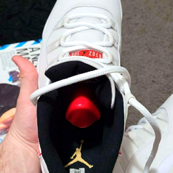 Jordan 11 Platinums main image 4